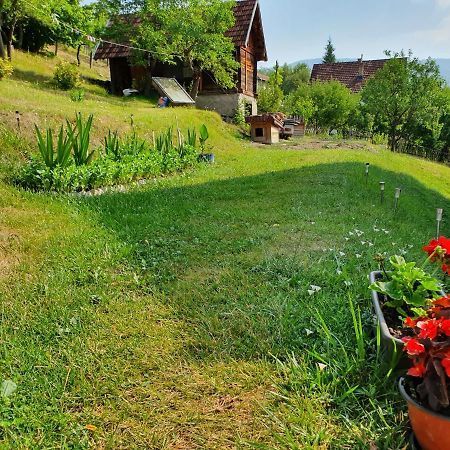 Bed and Breakfast Apartman Draga Mokra Gora Exterior foto